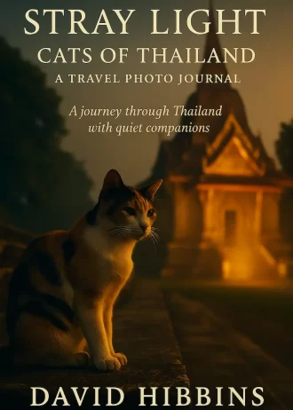 Stray Light – Cats of Thailand Book Cover