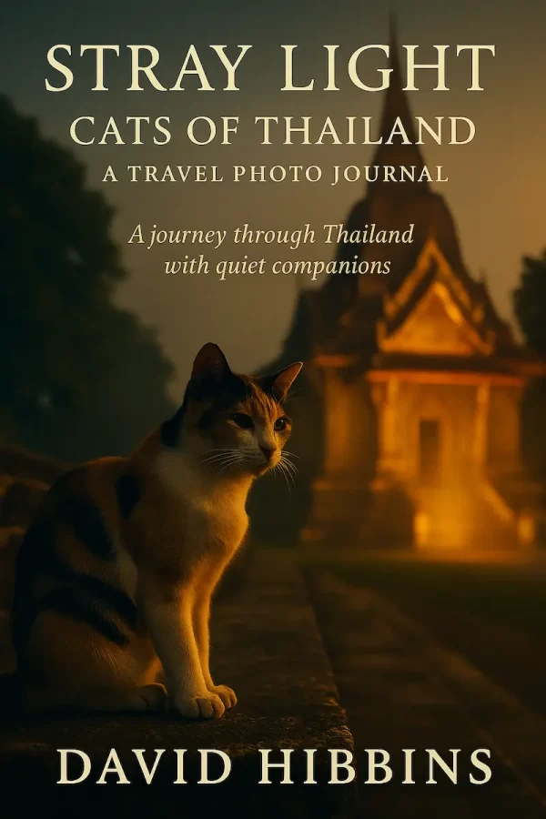 Cover of Stray Light: Cats of Thailand – A Travel Photo Journal by David Hibbins, featuring a calico cat on temple steps at sunset